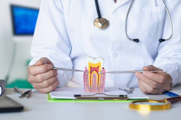 Best Emergency Tooth Extraction in Bishopville, SC